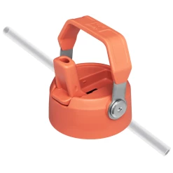 Flash Sale 🧨 Stanley The Wild Imagination IceFlow™ Flip Straw Water Bottle | 17 OZ 🥰 -SWEESE Shop B2B Web PNG The IceFlow Flip Straw Water Bottle 17oz Grapefruit Lid Straw Detail